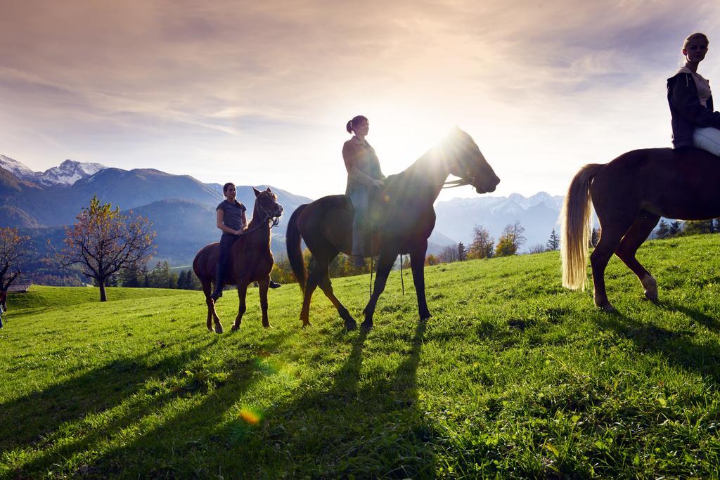 Landhotel Stockerwirt Vorderstoder Exteriér fotografie